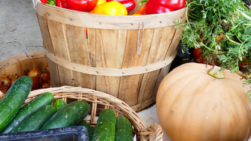 Organic Vegetables Farm Fresh