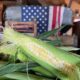 NON GMO Sweet Corn